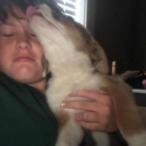 Meet your Posher, Ben